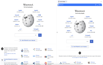 Wikipedia SidePanel by NNT browser extension screenshot